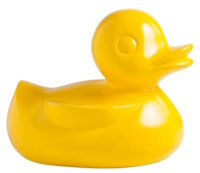 Yellow plastic toy duck